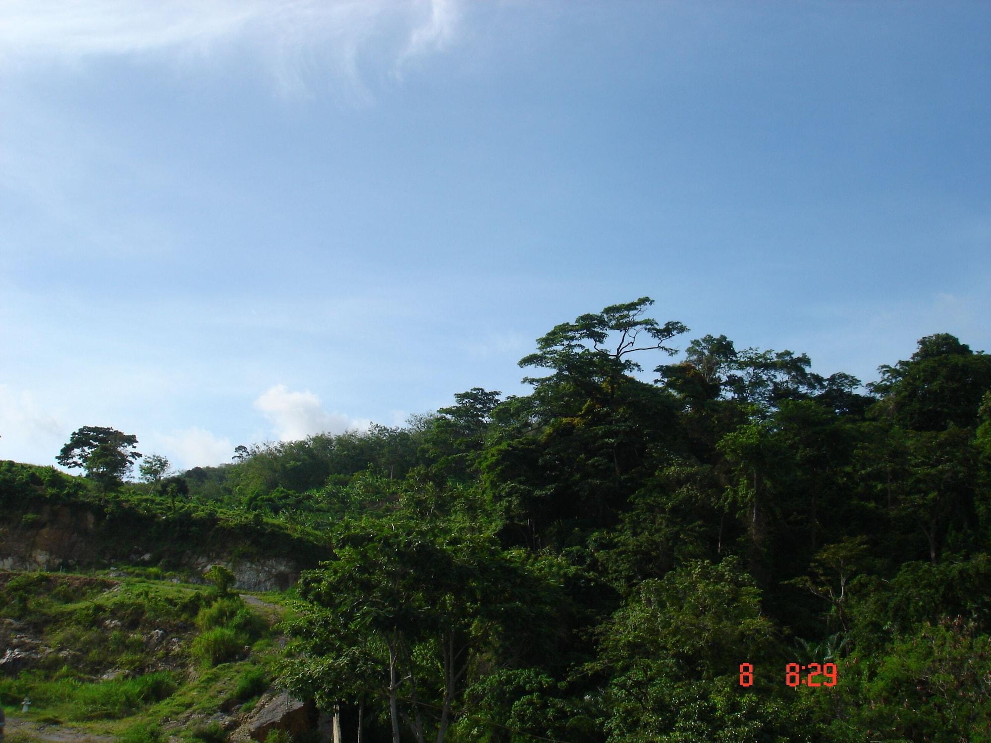 Lamai Guesthouse Patong Buitenkant foto